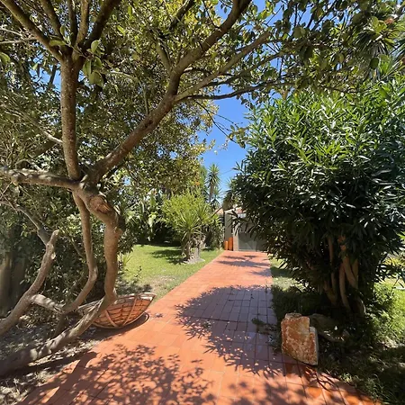 Modern In Lush Garden - Aroeira Сasa de vacaciones Aroeira (Setubal)